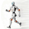 Humanoid Robot