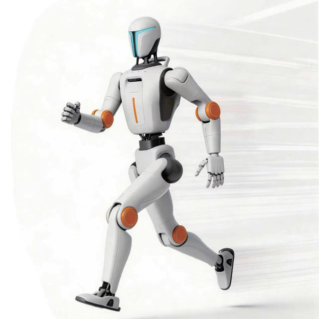 Humanoid Robot